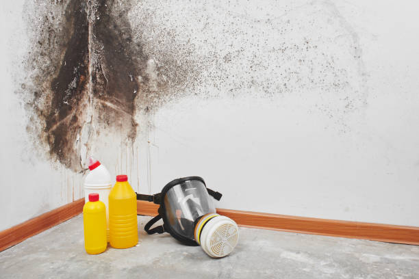 Best Mold Testing  in Greensburg, IN