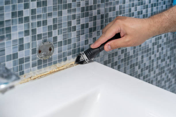 Best Residential Mold Removal  in Greensburg, IN