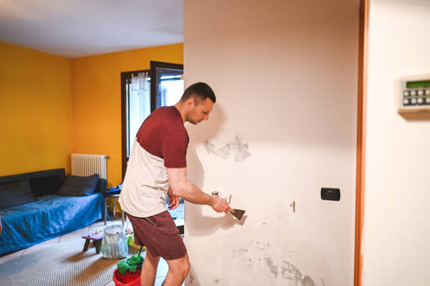 Best Toxic Mold Removal  in Greensburg, IN