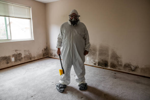 Best Commercial Mold Removal  in Greensburg, IN